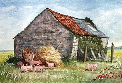 Playing Fields - Barn on Mark Moor with pigs