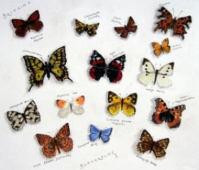 Britain's Beautiful Butterflies Number 1