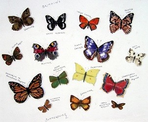 Britain's Beautiful Butterflies Number 2
