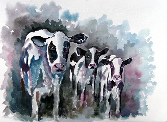 Always Nosey, Ever Cautious - Cow & Calves