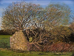 Withy Barn - Derelict Barn on the Somerset Levels (Acrylic)