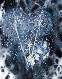 On A Cold and Frosty Morning - Allium Seed Heads (Acrylic Ink)