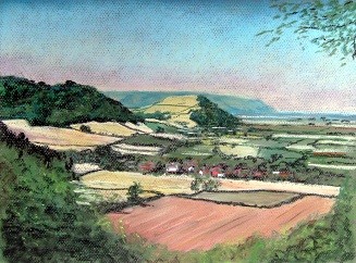 Ham Country - South Somerset
