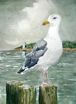 The Lookout - Seagull at Burnham
