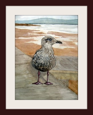 The Opportunist - Baby Seagull, Burnham-on-Sea