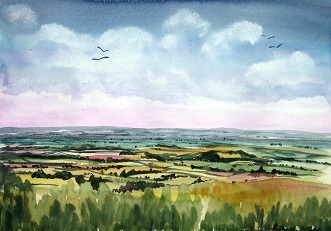 Mewing Buzzards - View from the Neroche Forest, the Blackdown Hills