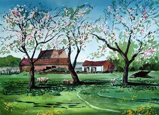 Spring Orchard - Farm, East Huntspill