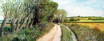 Quiet Country Lane - The Polden Hills from the Somerset Levels