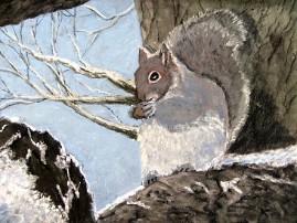 Squirrel Nutkins - Grey Squirrel