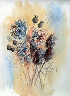 Allium Heads, Teasels & Poppy Seeds