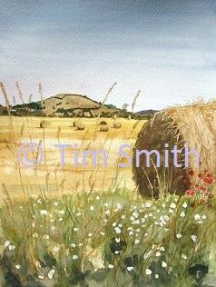 Lazy Day - Brent Knoll from Isleport