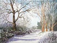 A Walk In the Snow - the Path Up Brent Knoll