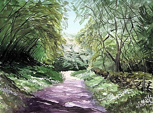 Walk to Black Rock, Cheddar