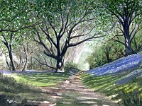 'Where Will It Take Us?' - Bluebell Wood, Porlock Hill