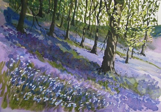 Bluebell Wood, Cothelstone Hill, the Quantocks