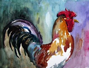 The Early Riser - Cockerel