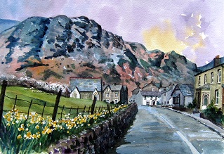 A Host of Golden Daffodils - Conniston, Cumbria, the English Lake District