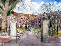 Crocus Carpet - King's Square, Bridgwater