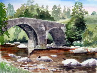 Darting Dippers - Bridge Over the River Dart, Dartmoor, Devon