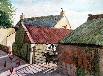 'Who's Coming?' - Farm Near East Huntspill with cows and chickens