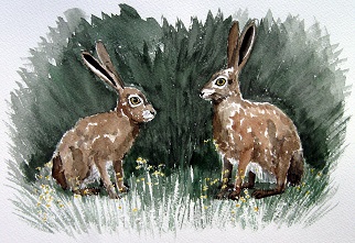 On Guard - Hares