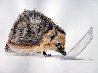 Earnest - Hedgehog