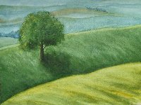 Lone Tree