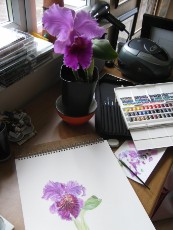 A painting in progress