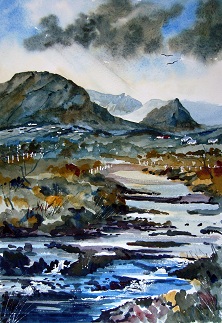 Babbling Brook - Partry Mountains, County Mayo, Ireland