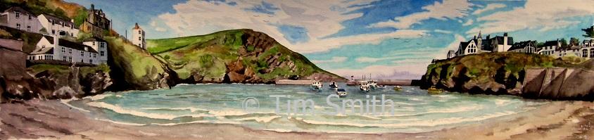 Chaff Cove - Port Isaac