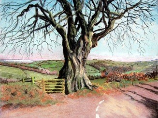 Quantock Gateway - Tree On the Quantock Hills