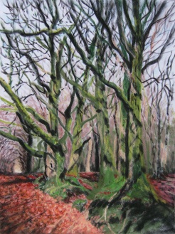 The Crunch of Autumn Leaves - A Stand of Beech Trees, The Quantock Hills, Somerset