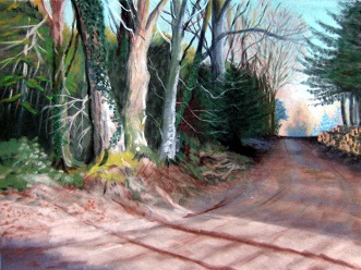 Disappearing Light - Heathcombe Wood, Enmore, The Quantock Hills, Somerset