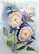 Peachy Roses