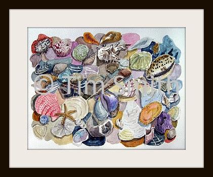 Seashells