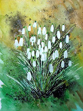 Snowdrops