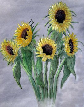 Sunflowers