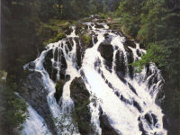 Swallow Falls, Wales (photo)