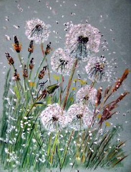 Time Flies - Dandelion Clocks