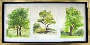Tree Trio