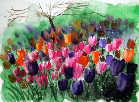 Tulip Field