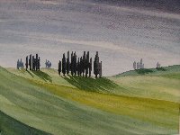 Tuscan Terrain - Poplar Trees