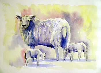 Winter Lambs