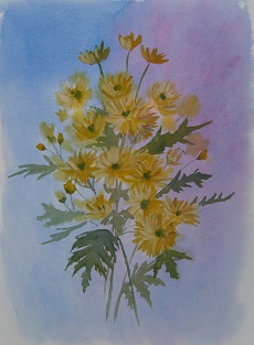 Yellow Chrysanthemums